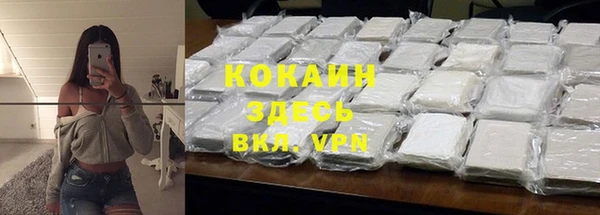 индика Нефтекумск
