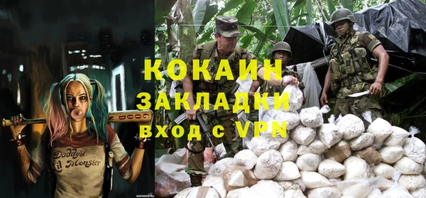 индика Нефтекумск