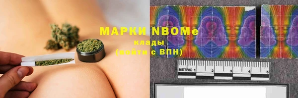индика Нефтекумск