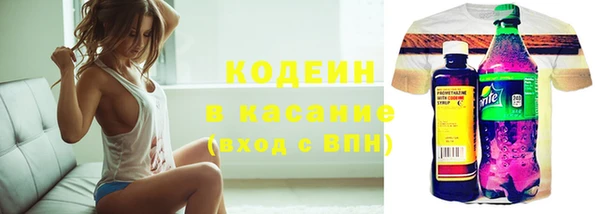 индика Нефтекумск