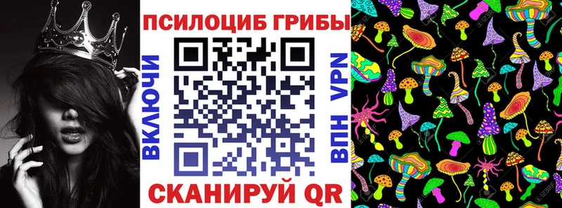 shop телеграм  blacksprut зеркало  Псилоцибиновые грибы Magic Shrooms  Калач  где продают  